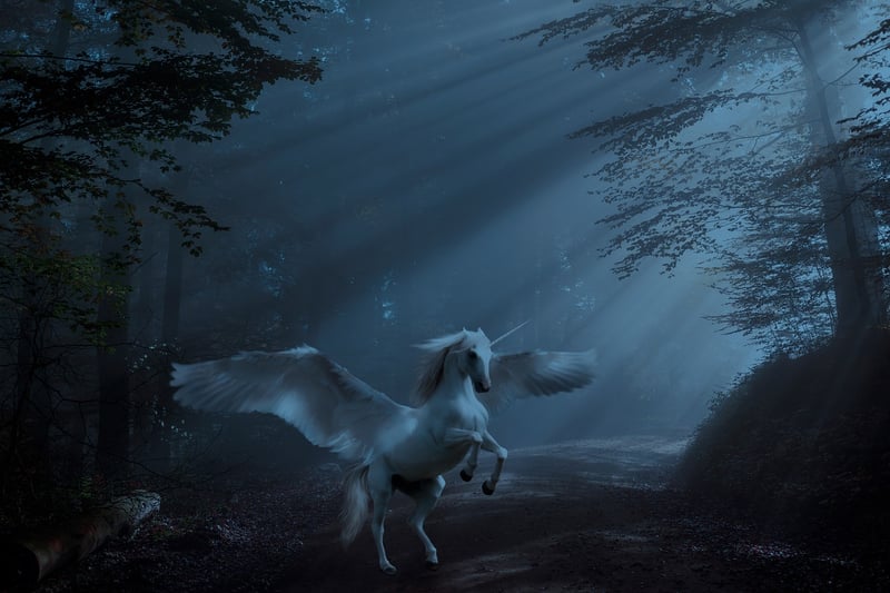Unicorn meadow