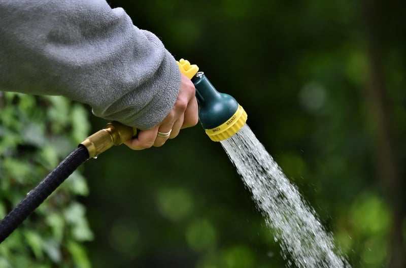 Witch's watering can